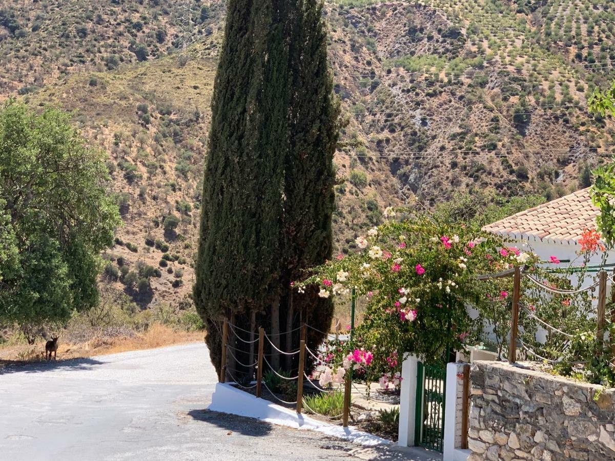 La Casilla- La Almona Chica Country house *