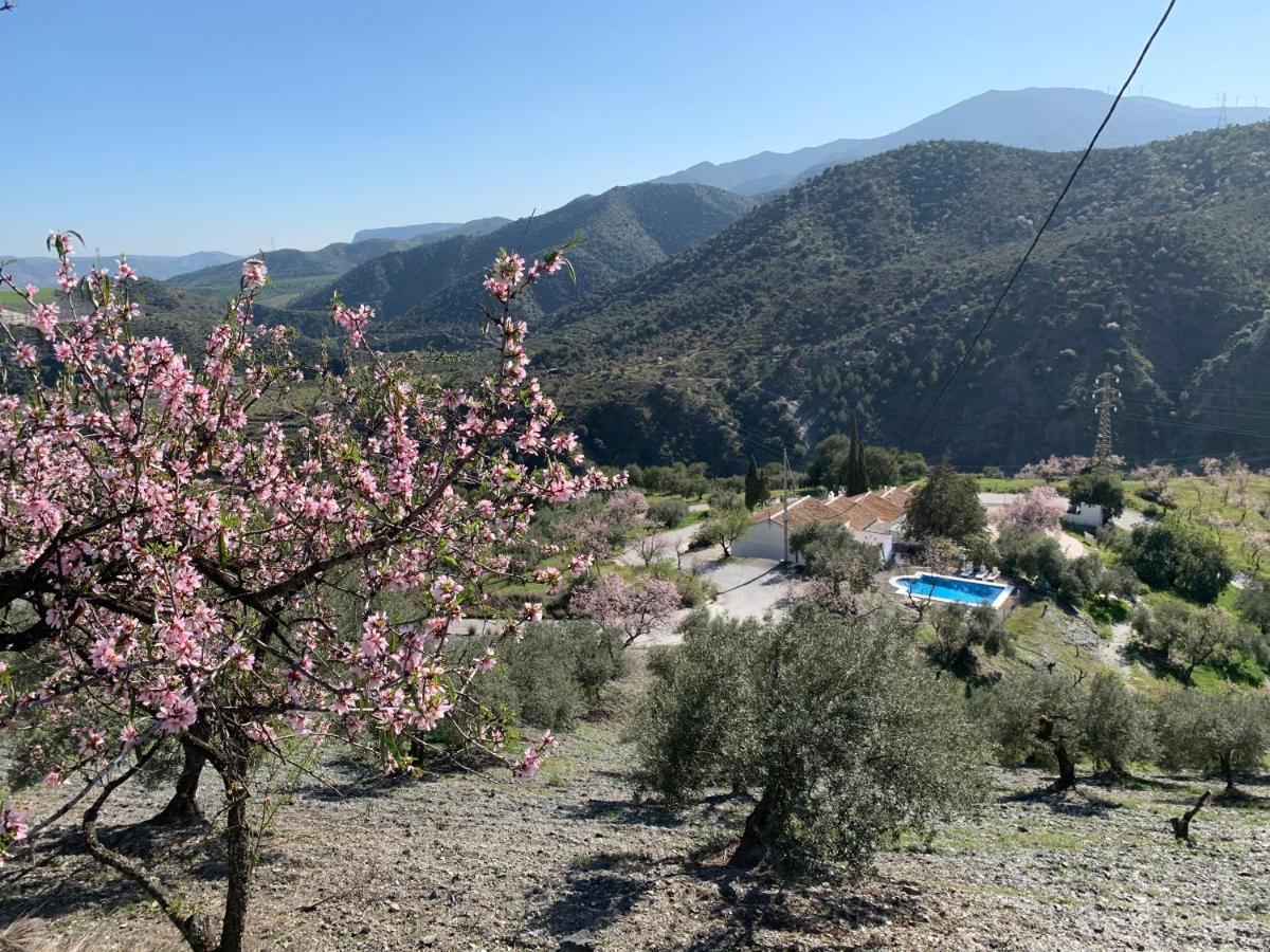 Country house La Casilla- La Almona Chica